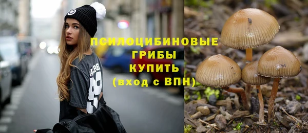 дмт Нязепетровск