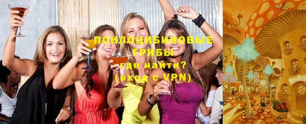дмт Нязепетровск