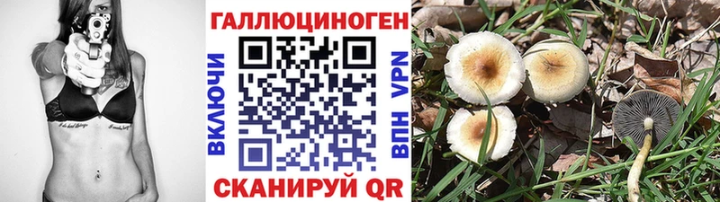 Галлюциногенные грибы прущие грибы  Купить где  Туапсе 